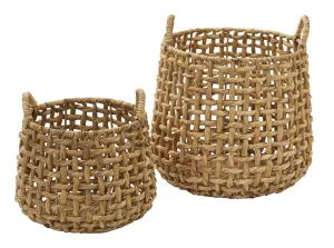 ANGUILA BASKET