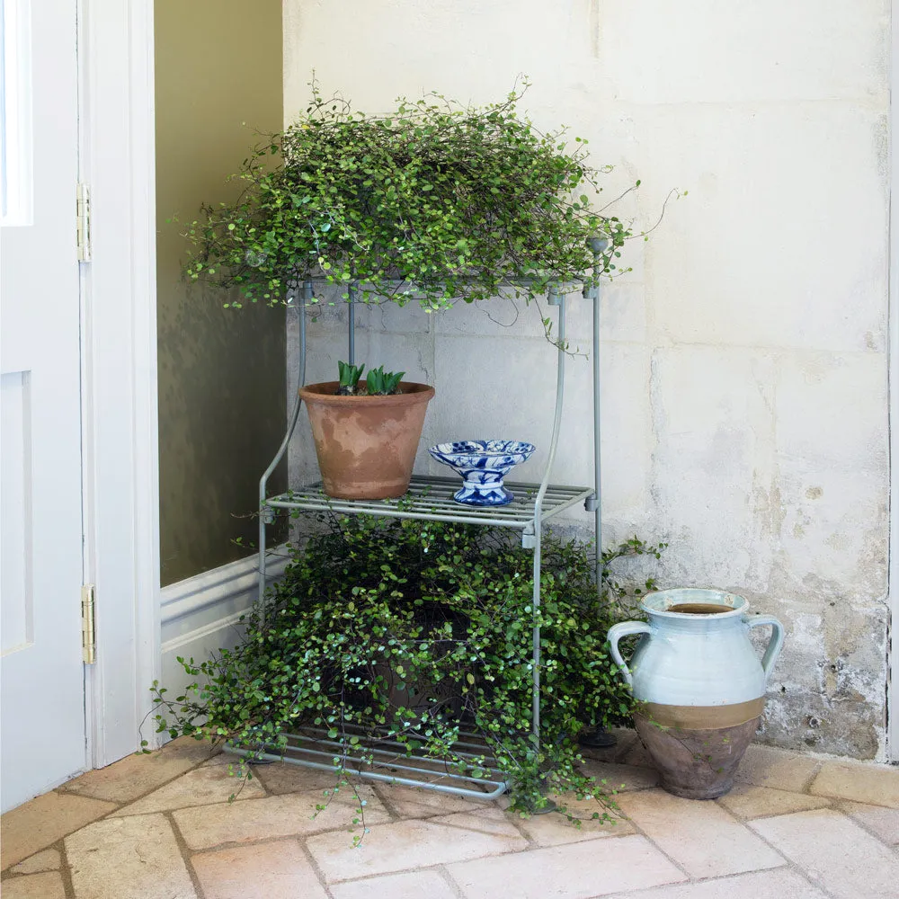 Elegance Narrow Tiered Plant Stand