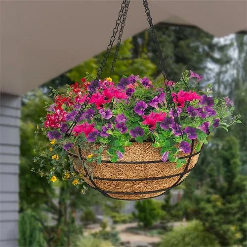 Garden Jack 30cm Granada Hanging Basket